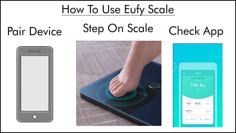 How To Use Eufy Scale