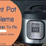 Instant Pot Problems