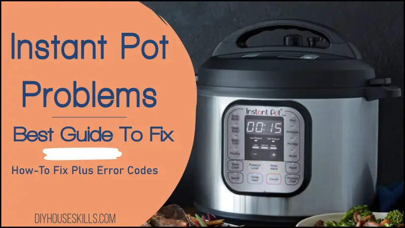 Instant Pot Problems