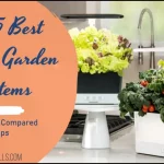 5 Best Indoor Garden Systems
