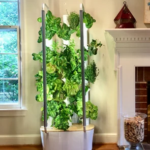 Gardyn Home 1 0 - Indoor Vertical Garden - Smart Hydroponic Growing System