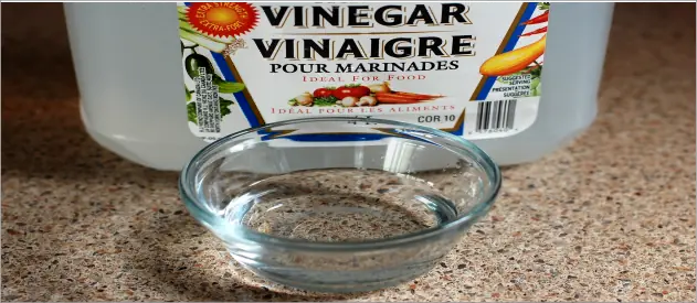 How to clean a microwave with vinegar