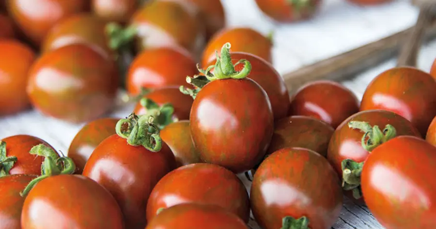 Chocolate Tomatoes