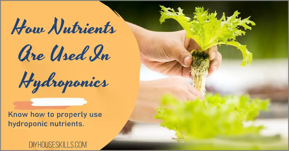 How Nutrients Are Used In Hydroponics
