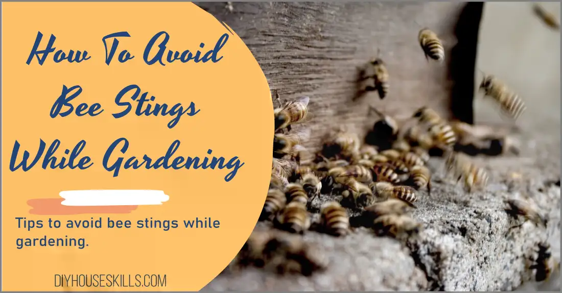 How To Avoid Bee Stings While Gardening