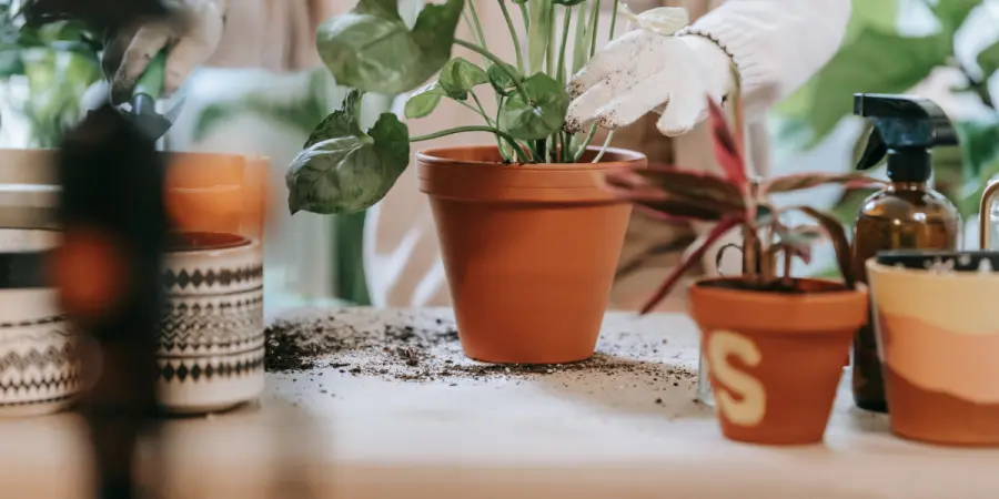 How keep gardening gloves clean