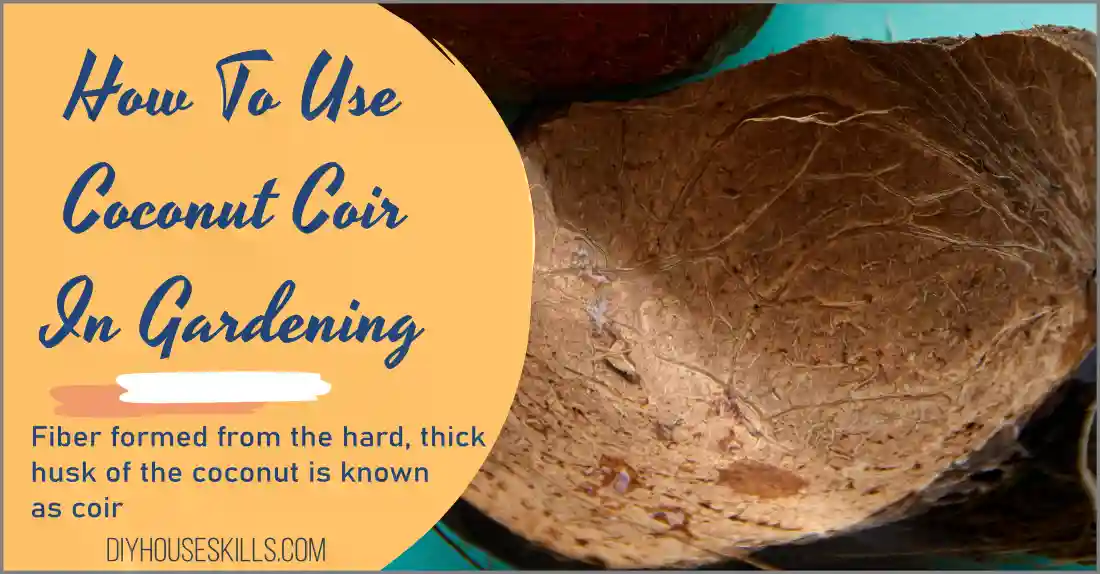 How to use coconut coir in gardening
