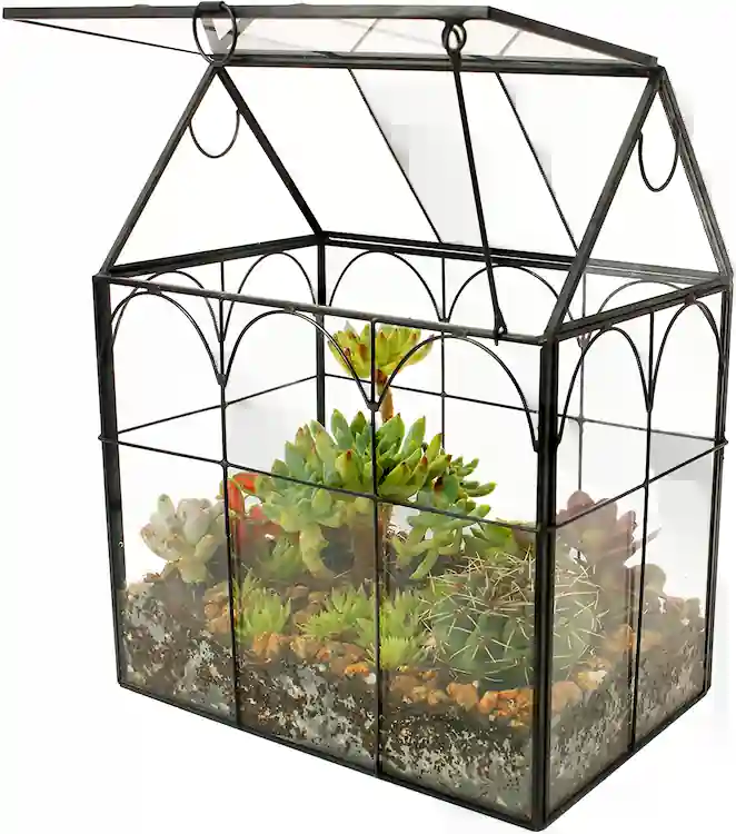 ELEGANTLIFE Glass Greenhouse