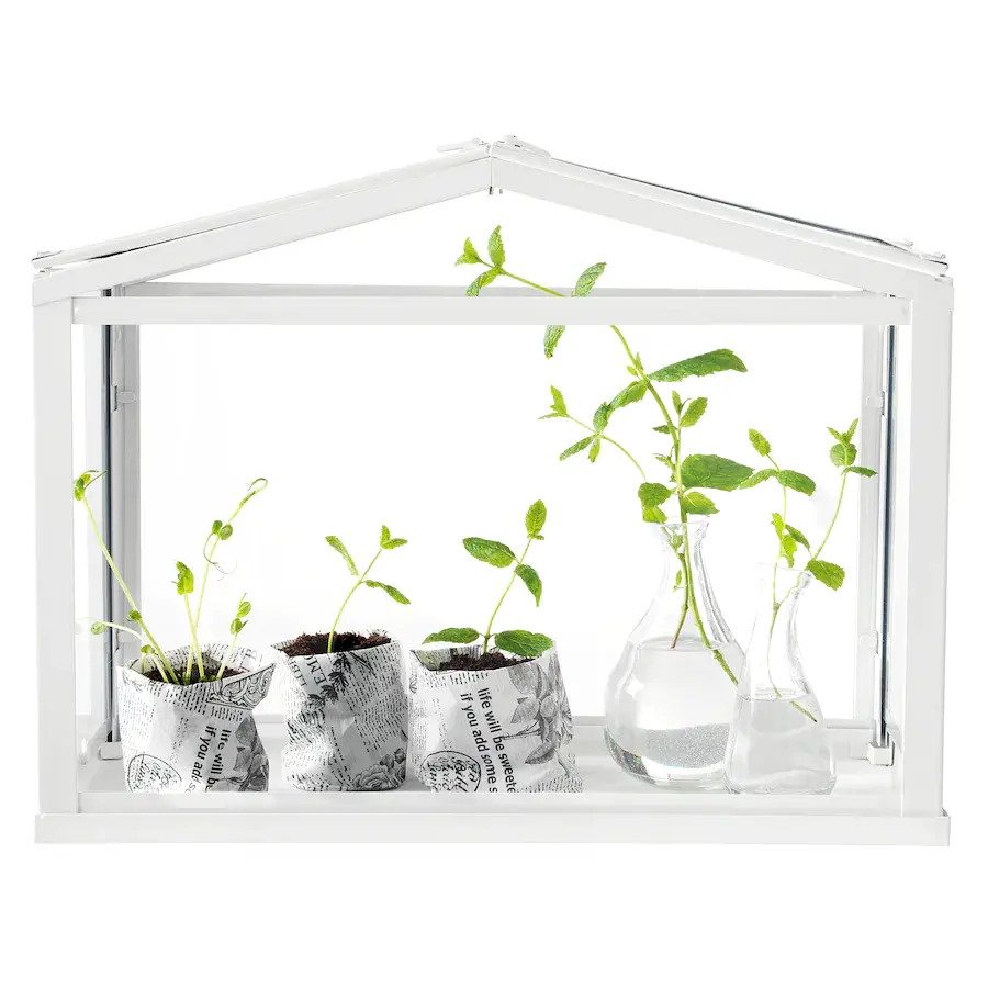 IKEA Glass Greenhouse 2