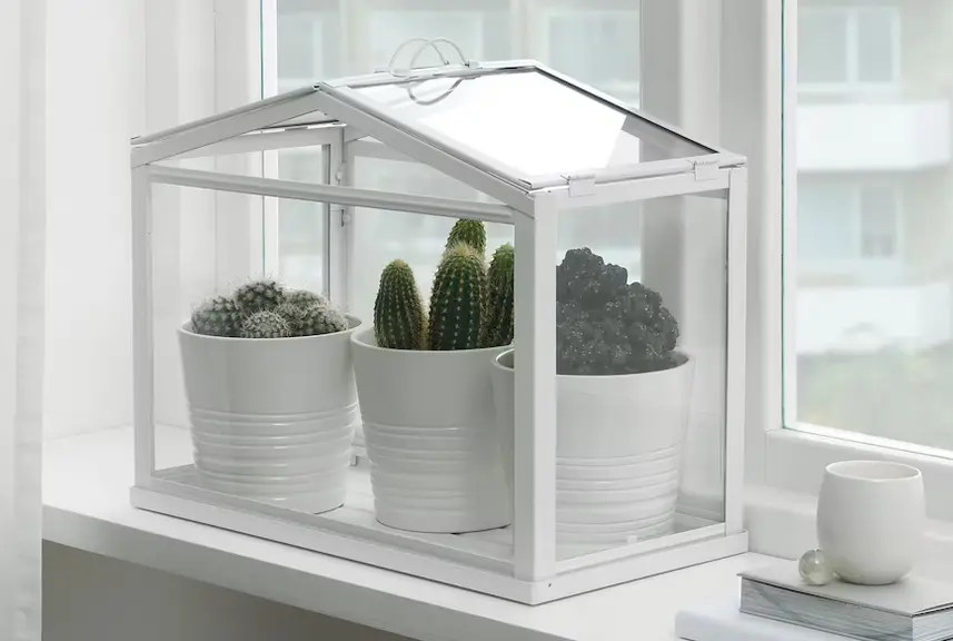 IKEA Glass Greenhouse