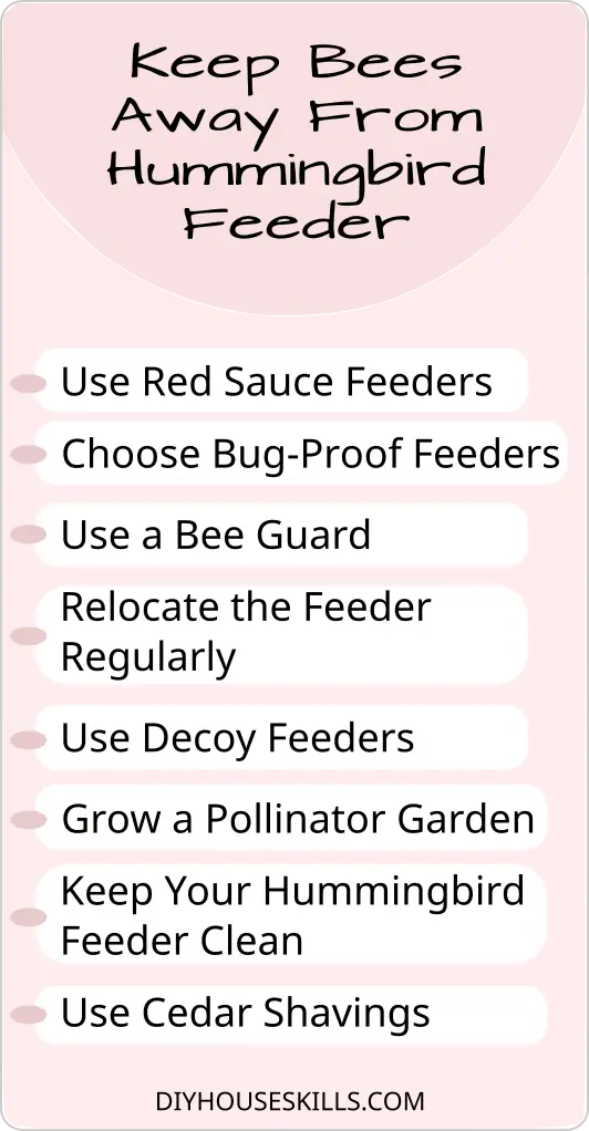 How To Keep Bees Away From Your Hummingbird Feeder Infographic