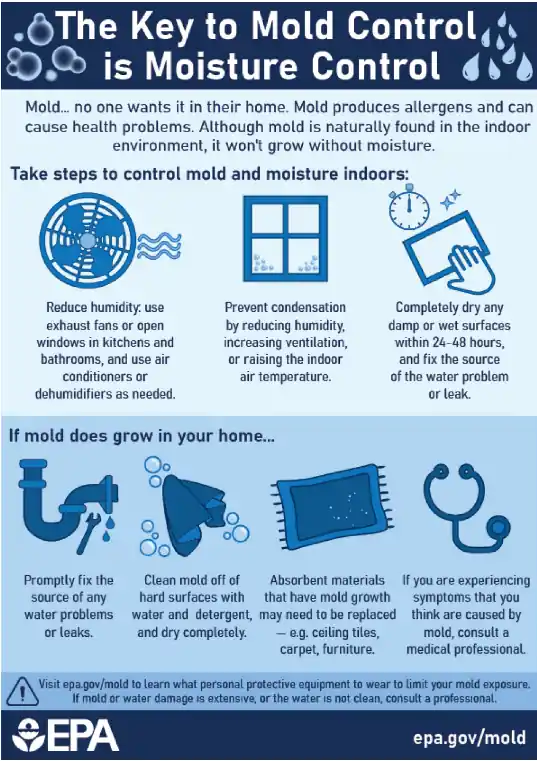 The Key to Mold Control is Moisture Control - mold_infographic