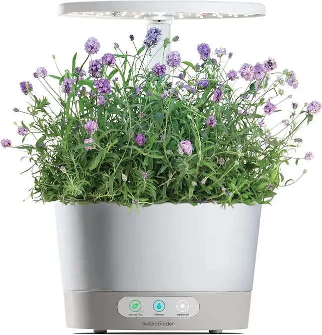 AeroGarden Seed kit 6-pod Lavender