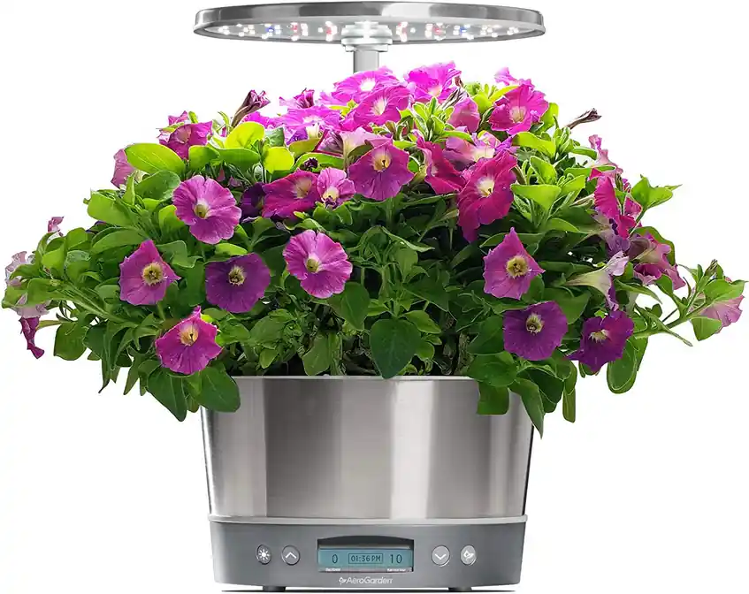 AeroGarden Seed kit 6-pod flowers