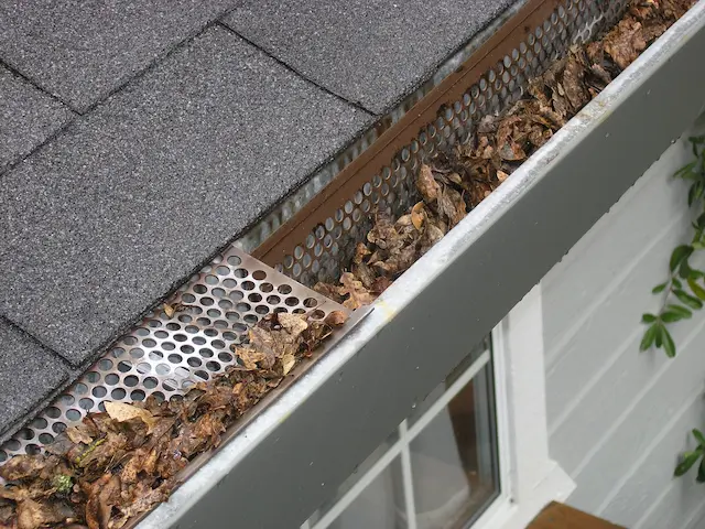 Maintain Gutters